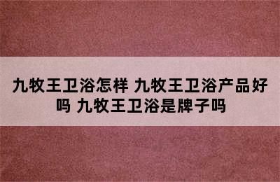 九牧王卫浴怎样 九牧王卫浴产品好吗 九牧王卫浴是牌子吗